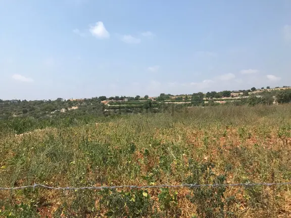 Narlikuyu - Kavlaklıda Satılık Deniz Manzaralı Tarla 1
