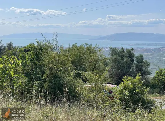 Çamoluk Mah.asfalt Cepheli Göl Manzaralı 7830 M2 Satılık Bahçe 2