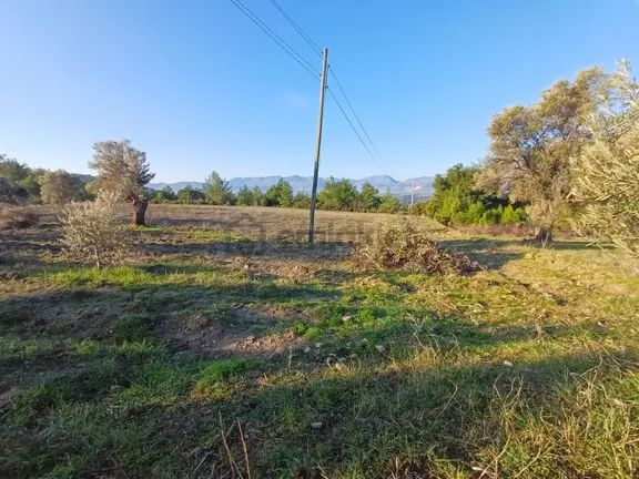 Stop’tan Seydikemer Korubükü’nde Vadi Manzaralı Satılık Tarla 2