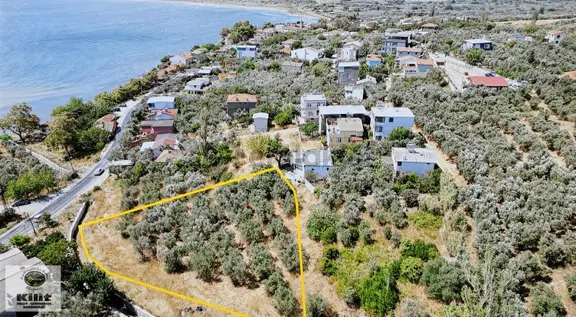 Kilit Emlak'tan Aşağı Yapıcı'da Deniz Manzaralı Zeytinlik 2