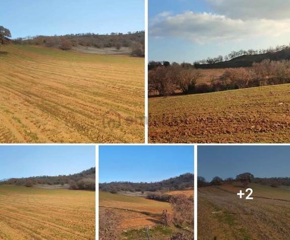 Uşak Eşme Yeleğen Kasabasında 26240m2 Satılık Arazi 2