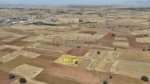 Konya / Akören / Hacılar Mahallesinde 2.981 M² Müstakil Tapulu Tarla 2