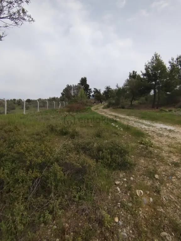 Acil Buca Kırıklar Cezaevi Yakını 2 Dönüm Tek Tapulu Tarla 1