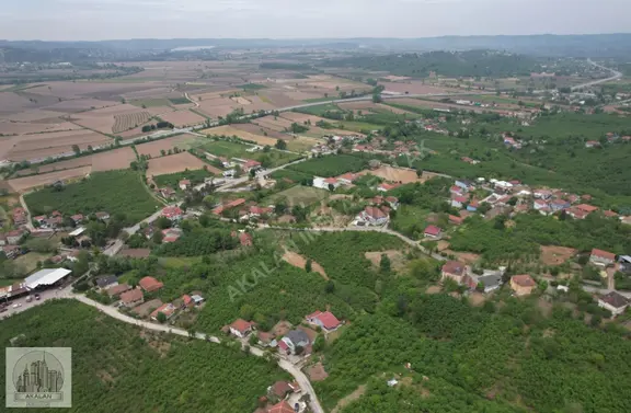 3 Ayrı Bitişik Tapulu Toplam 3.607 M2 Arsa + 2 Katlı Müstakil Ev 2