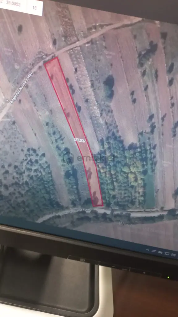 Sahibinden Göynücek Başpınar Köyünde(3.433)m2,yatırımlık, Müstakil, Tapulu, Satılık, Tarla 2