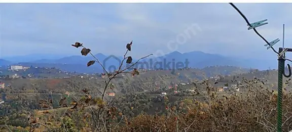 Kavala Da Yatırımlık Arsa 1
