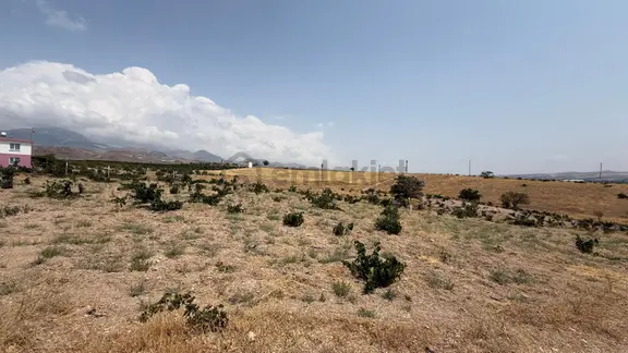 Öz Gaye Emlaktan Develi Reşadiye Mahallesi Güzelce Mevkiinde Satılık Bağ 2