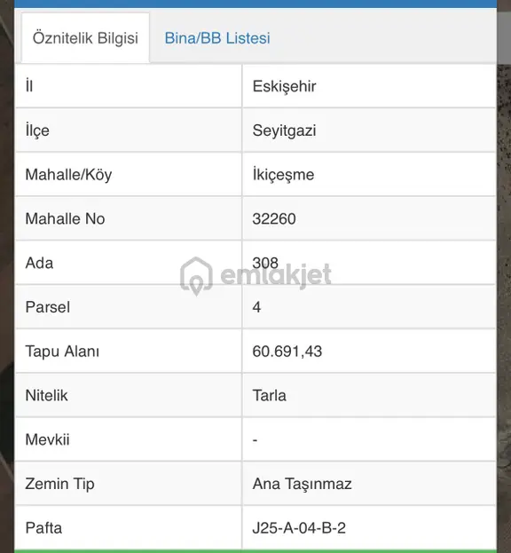 Seyitgazi Merkezde 67 Dönüm Yatırımlık Satılık Tarla 2