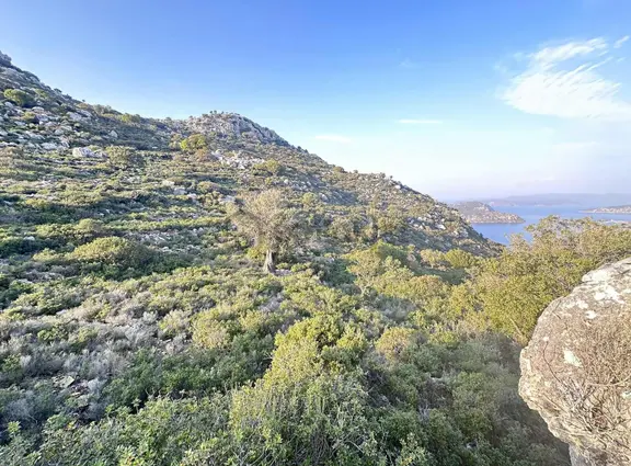 Bozburun’da ‘’ Fiyat Düştü’’emsalsiz Satlık Körfez Mzr Villa Prj'li Ve Otel Ar 2