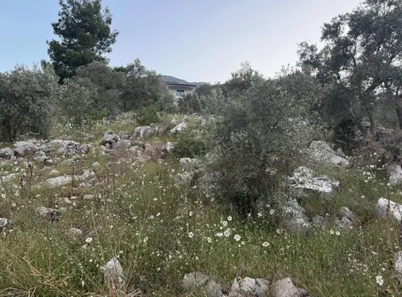 Esenköyde Satılık Tarla 1