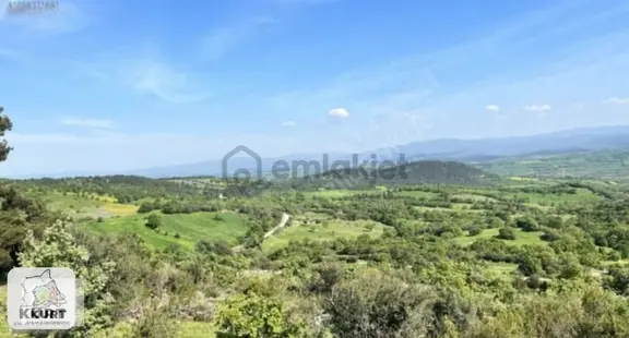 Çanakkale Bayramiç Karaibrahimlarde Satılık Fırsat Tarla 1
