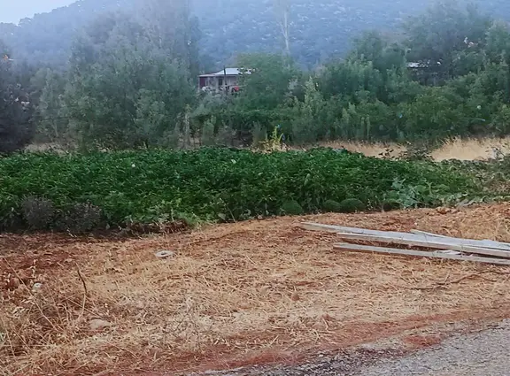 Seydikemer De 910 M² Satılık Arsa - Tarla 1
