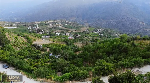 1,568 M2 Müstakil Tapu 2 Kat 2 Adet Konut İmarlı Şeftali Bahçesi 1