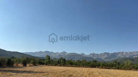 Asya Evim Gayrimenkulden Kum Mah De Satılık Fırsat Tarla 1