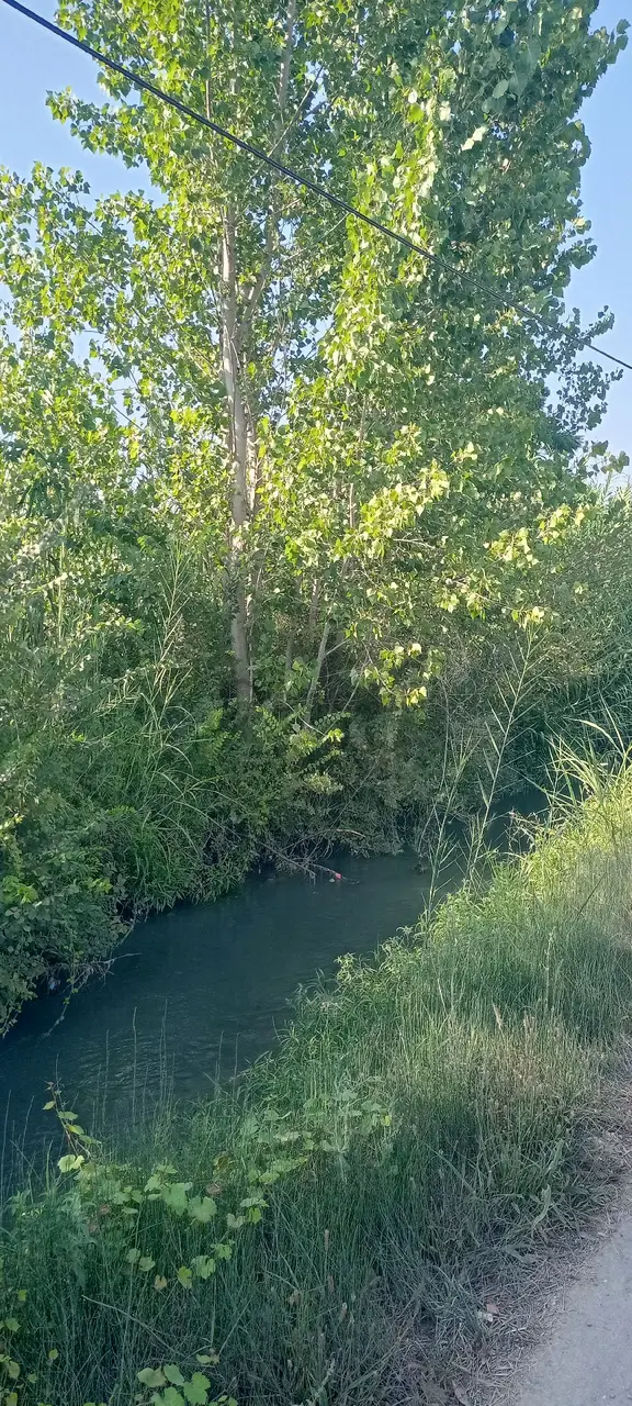 Muğla Ortaca Güzelyurt Satılık Arsa 1