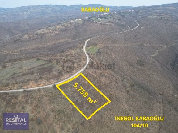 Bursa İnegöl Babaoğlunda Asfalt Yola Cepheli Arazi 2
