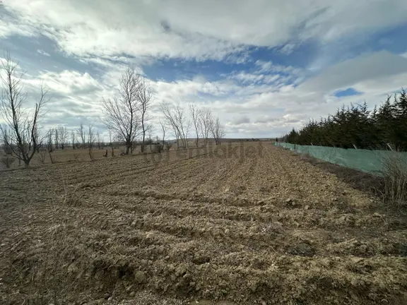 Öztelden Yukarısöğütönü 3.030 M2 Satılık Müstakil Tapupulu Tarla 1