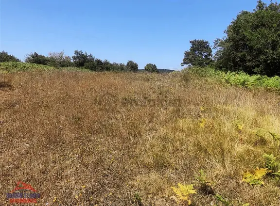 Kandıra Eğercili Köyünde Yatırımlık Satılık Arazi 2