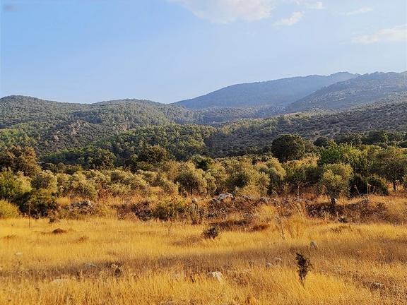 Gökben Mh.2074 M2 Tarla. 2
