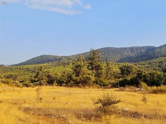 Gökben Mh.2074 M2 Tarla. 1