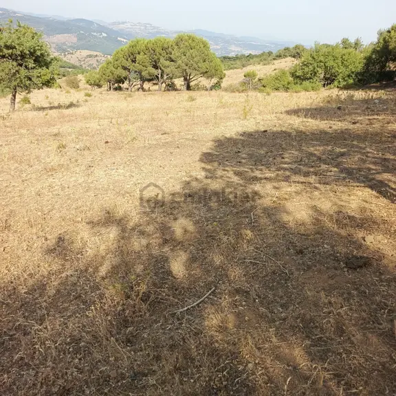 İzmir Bergama Halilağalar Mh 2.603 M2 + 2.981 M2 Tarla + 128 M2 Bahçe Satılıktır 1
