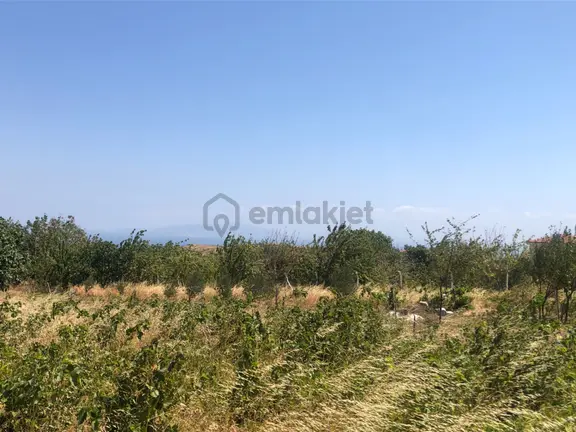 Şarköy De Işık Emlaktan Tepeköy Mah De 916 M2 0/35 İmarlı Arsalar 1