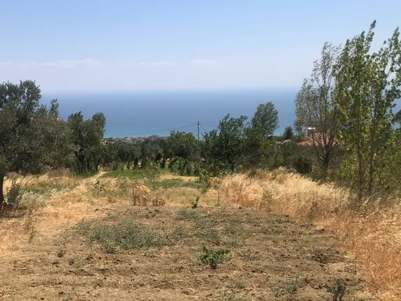 Şarköy De Işık Emlaktan Yukarıkalamış Mah De 1450 M2 0/75 İmarlı Arsa 1