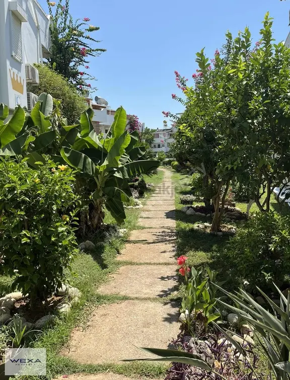 Wexa Property Den Avsallarda Denize 50 Metre Villa 1