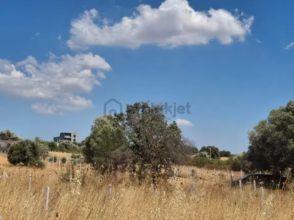 Bal Gayrimenkul- Akçaköyde Hisse Tapulu Ana Yola Yakın 500 M2 Bahçe 2