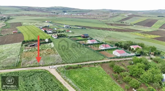 Çatalca Elbasan'da Kuzey Marmara Otobanına Cephe Arsa 2