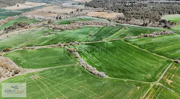 Çeltik Köyün'de Kadastro Yoluna Cepheli Satılık 15.728m2 Tarla 2