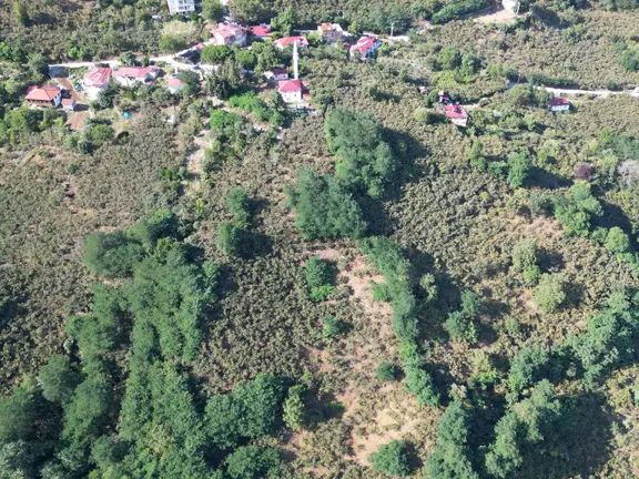 Fiyat Düştü Perşembe/ Kozağzı(10.987 M2)satılık Yada Araç Takasılı Fındık Bahçesi 1