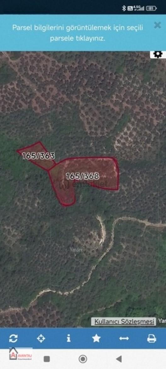 İznik Gölüne Bakan Bayır Zeytinlik, İstanbul İçin Fırsat 1