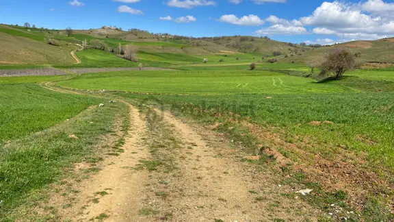 Doğa City'den Satılık Bilecik Söğüt Oluklu'da 1.236 M2 Tarla 1