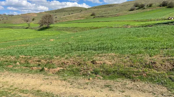 Doğa City'den Satılık Bilecik Söğüt Oluklu'da 1.236 M2 Tarla 2