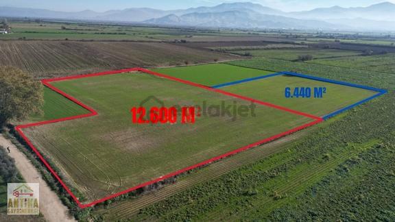 Antika Gayrimenkul'den Asfalt Kenarı Sulu Kredi Avantajlı Tarla 1