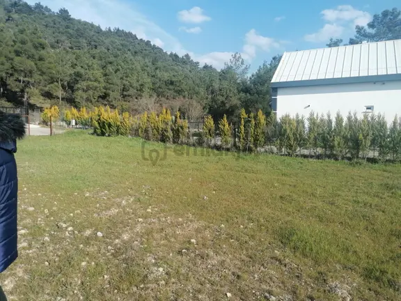 Bal Gayrimenkul-çatalcada Elektrik Su Hazır 580 M2 Köşe Parsel 2