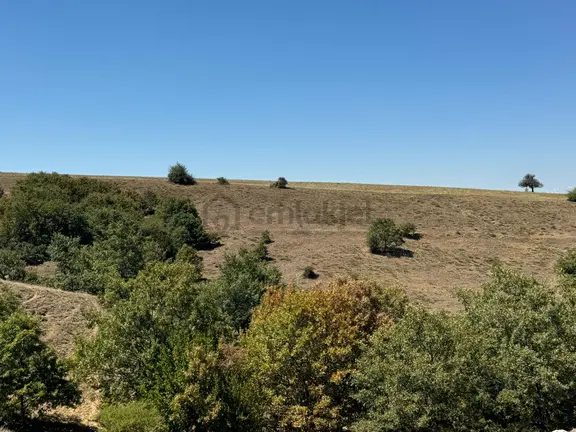 Sulukarağaç Mahallesi’nde 6.600 M² Satılık Tarla 1