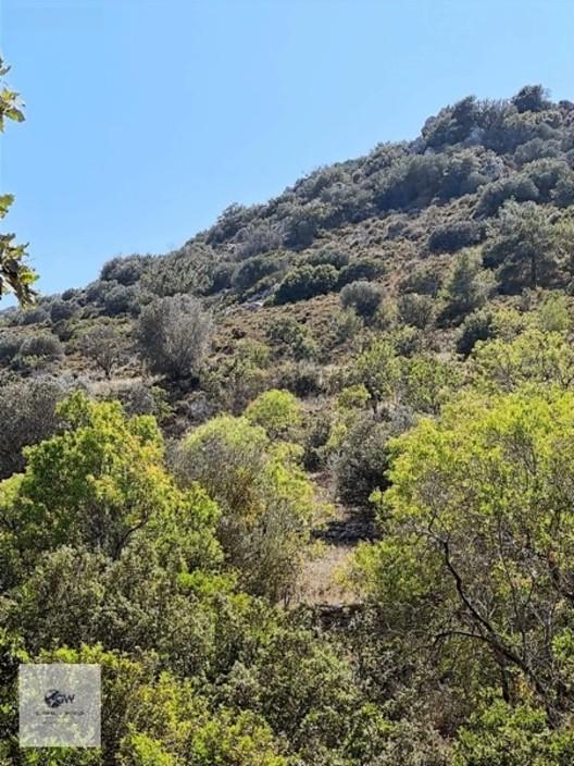 Satılık Yatırımlık Teraslı Arazi -bademlik , Zeytinlik 1