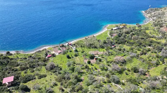 Joker: Söğüt Denize 30 Adım Yakınlıkta Mükemmel Koyda Satılık Tarla 1