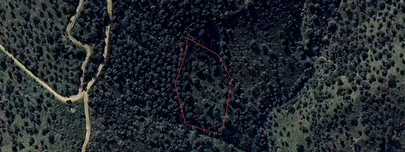 Antika Gayrimenkul'den Bozcayakada Fırsat Zeytinlik 2
