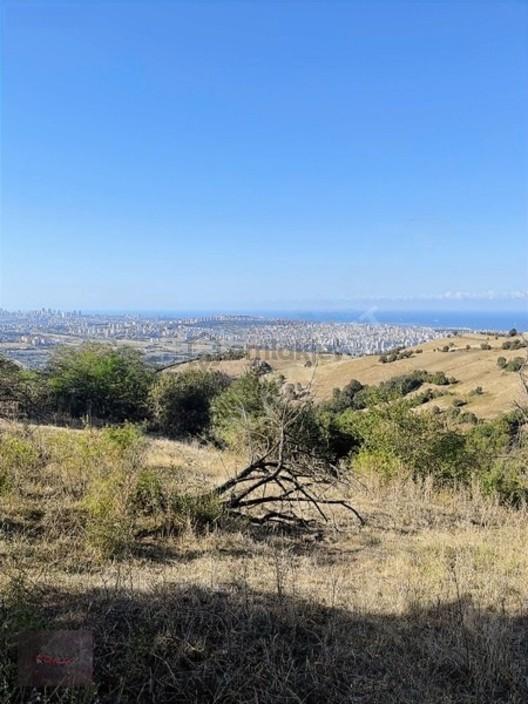 Emlakkent 'ten Şehir Hastanesine Çok Yakın Fırsat Tarla 1