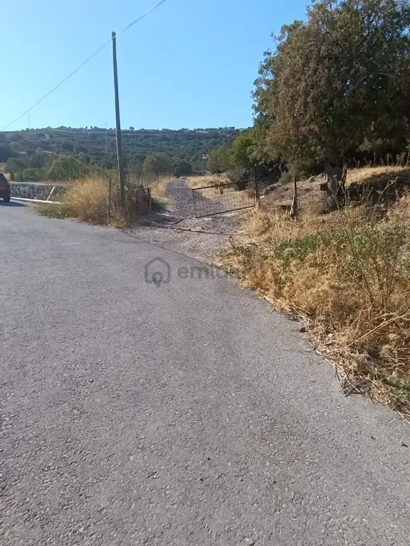 Eski Foçaya 2km Uzaklıkta Satılık Çiftlik Arazisi 2