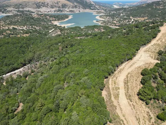 İmroz Emlak'tan Baraj Mevkii'de Yatırımlık 694 M2 Zeytinlik 2