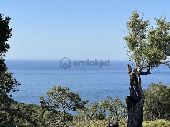 İmroz Emlak'tan Tepeköy'de Deniz Manzaralı 3.426 M2 Tarla 2