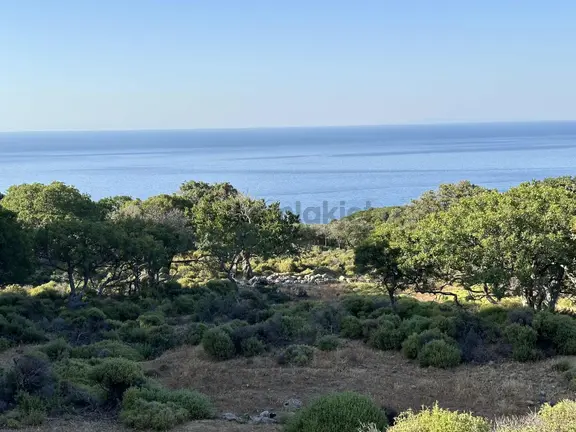İmroz Emlak'tan Tepeköy'de Deniz Manzaralı 1.093 M2 Tarla 2