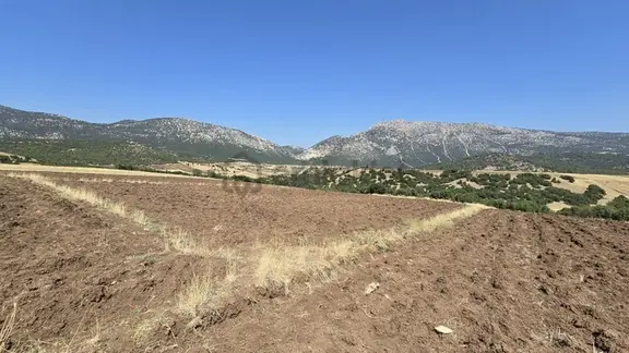 Burdur Yeşilova Armut Köyde 1306 M² Tarlamız Satılıktır. 2