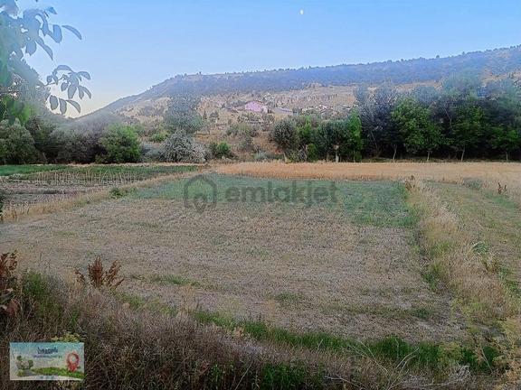 Meram Güneydere De 342 Metre Müstakil Tapulu Bahçelik Yer 1