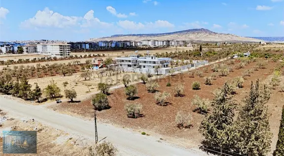 Liva Gayrimenkul'den Beşevler'de Ticari A-5 İmarlı Satılık Arazi 1