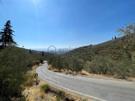 Akçay Poyraz Gayrimenkul'den Beyoba'da Satılık 3870m2 Deniz Manzaralı Zeytinlik 1